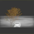 Car With Headlights On Near Autumn Tree In Circular Area