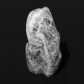 Natural Textured Rockery Stones For Garden Landscaping And Decorative Projects