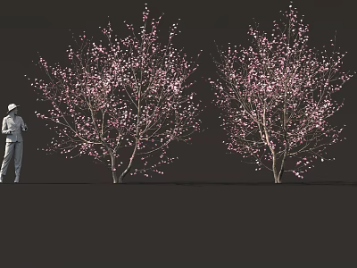 Pink Flowering Bushes with a Person Wearing a Hat Standing Nearby 3d model