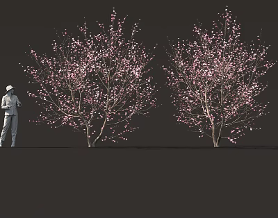 Pink Flowering Bushes with a Person Wearing a Hat Standing Nearby 3d model