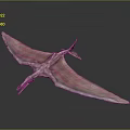 Pink Pterosaur Model With Extended Wings Long Beak And Detailed Body Structure
