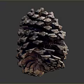 Pine Cone Inspired Food Creation With Natural Organic Shape 3d model