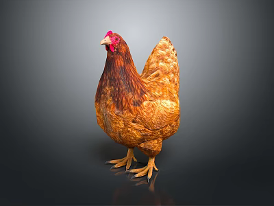Chicken as Flying Animal with Red Comb and Brown Yellow Feathers Standing on Dark Background 3d model