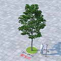 White Magnolia Tree With Green Circular Base Gray Square Pavement And Human Figure 3d model