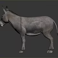Detailed Lifelike Grey Donkey Standing On Dark Background