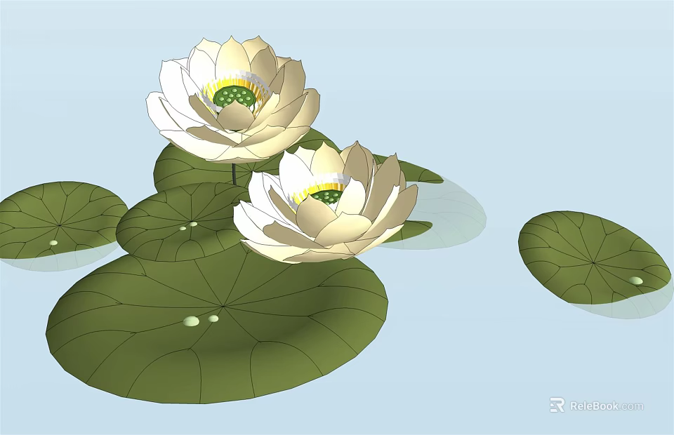 Beautiful White Lotus Flowers Blooming With Green Leaves On Serene Water Surface 3d model 