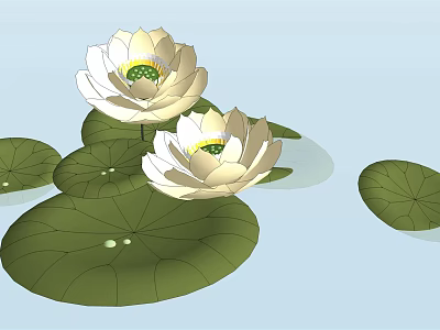 Beautiful White Lotus Flowers Blooming With Green Leaves On Serene Water Surface 3d model