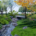 Serene Residential Landscape Design With Lush Trees Stone Pathway And Natural Greenery