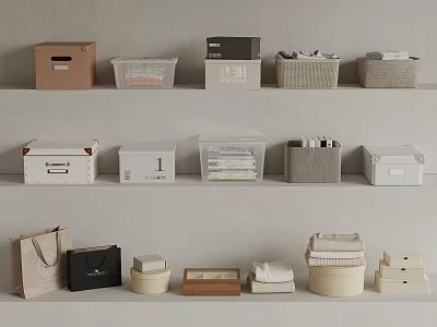 Neatly Arranged Storage Organizers With Various Containers On Shelf 3d model