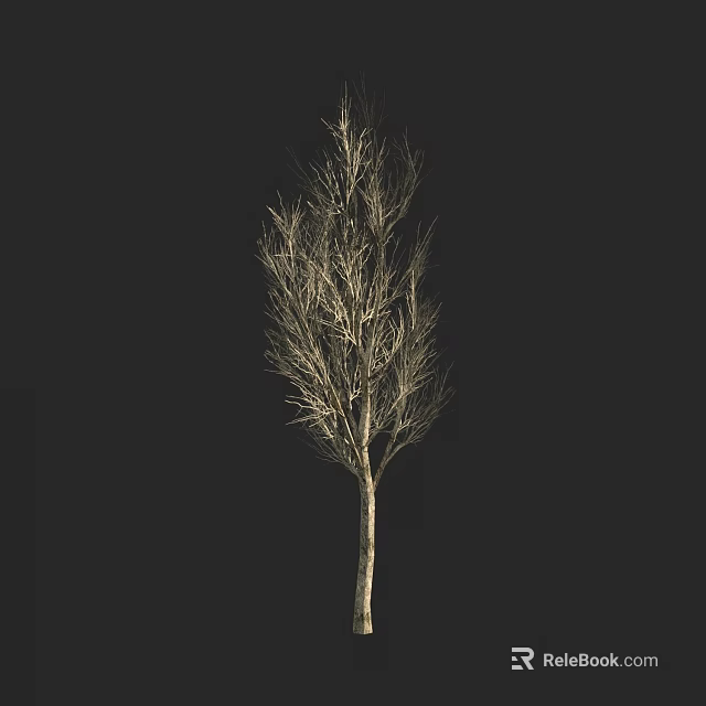 Leafless Arbor with Slender Trunk and Sparse Branches Against Dark Background 3d model