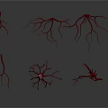 Detailed Red Organ Structures With Hair like Branches And Intricate Vessels