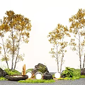 Modern autumn birch tree plant combination street tree garden tree birch tree 3d model