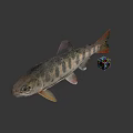 Animated Game Movie Fish Character With Rubik Cube On Gray Background