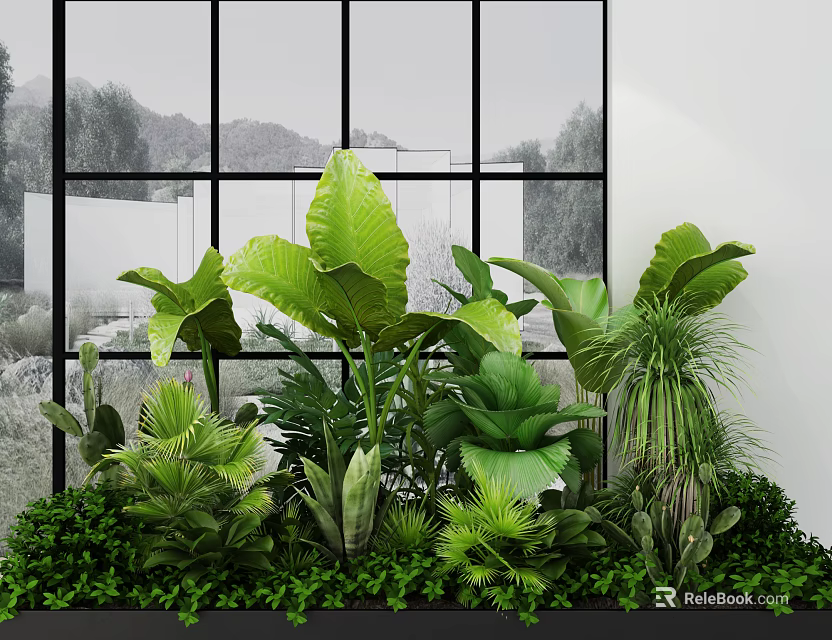 Lush Green Indoor Garden With Large Tropical Leaves And Natural Light View 3d model 