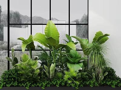 Lush Green Indoor Garden With Large Tropical Leaves And Natural Light View 3d model