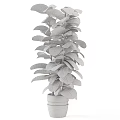 Healthy Potted Bonsai Plant With Lush Green Leaves In Dark Ceramic Pot
