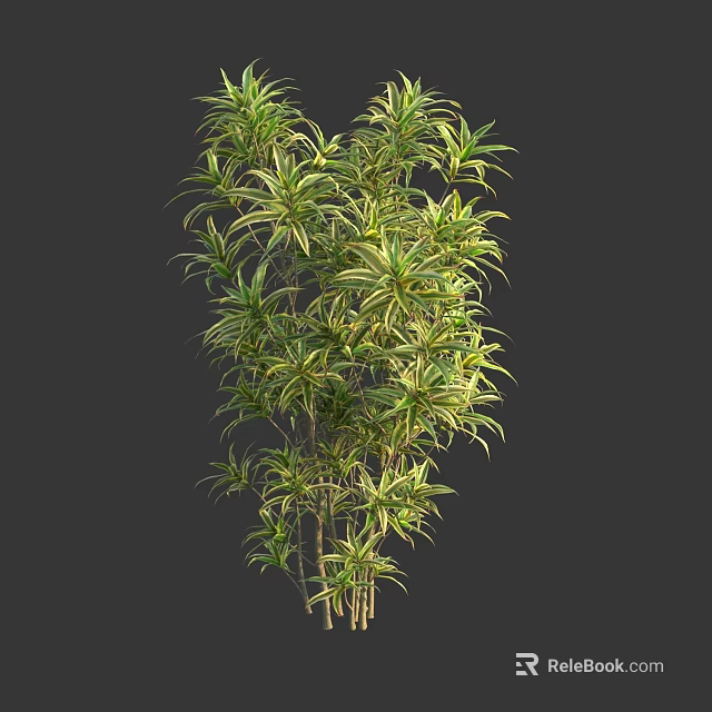 Lush Variegated Shrub With Long Narrow Green And Yellow Leaves For Garden Landscaping 3d model 
