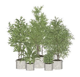 Modern Potted Plant Green Plant Bonsai Planting Landscape Green Plant Potted Plant 3d model