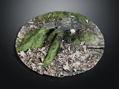 Wood And Stone Circular Surface Decorated With Moss And Fallen Leaves 3d model