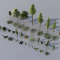 Diverse Plant Combinations With Various Trees Small Plants Arranged Neatly In Different Shapes Sizes