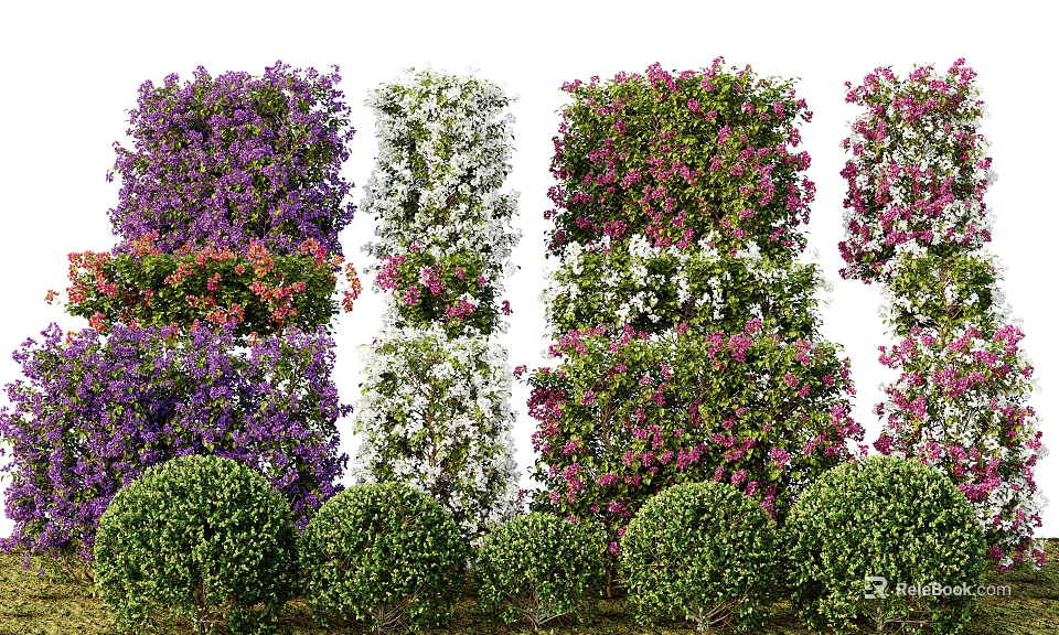 Vine Decorations With Various Colors And Shrubs 3d model