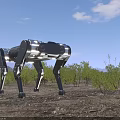Advanced Industrial Quadruped Robotic Equipment With Metallic Structure For Outdoor Terrain