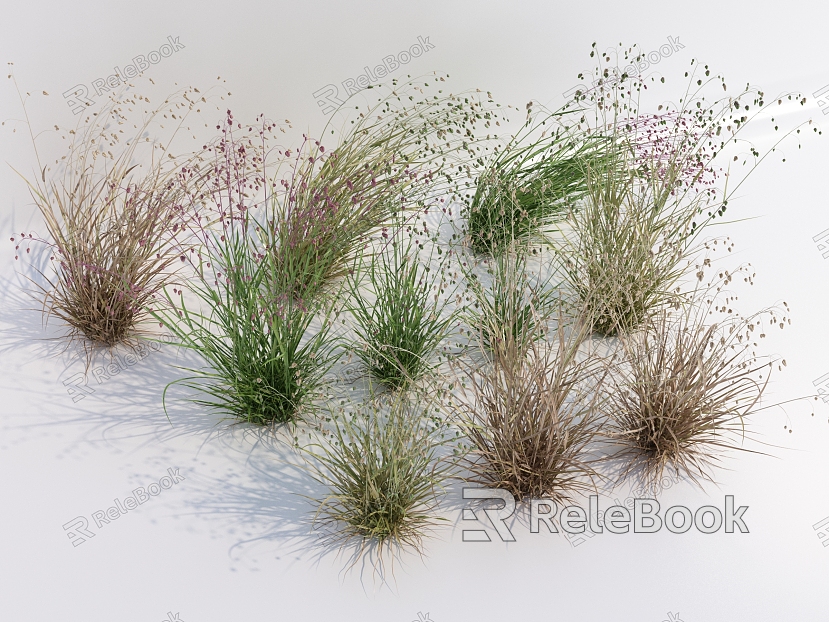 Modern Grass Wild Grass model