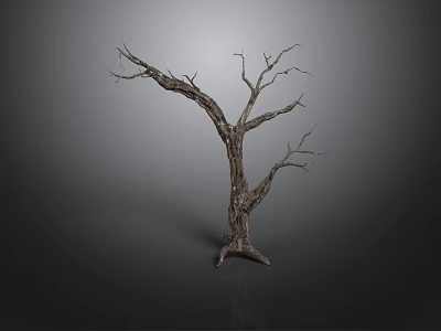Dry Leafless Tree Trunk With Twisted Branches On Dark Gray Background 3d model