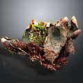 Green and Brown Lichen Plant Featuring Irregular Leaf Like Structures and Textured Surface 3d model