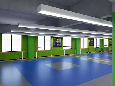 Indoor Fitness Training Space With Blue Floor Green Walls And Large Windows For Workouts 3d model