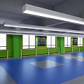 Indoor Fitness Training Space With Blue Floor Green Walls And Large Windows For Workouts