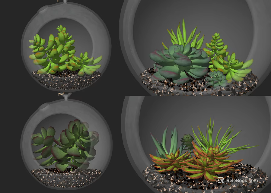 Various Glass Hanging Planters With Colorful Succulent Plants And Pebbles For Indoor Decor 3d model 