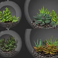 Various Glass Hanging Planters With Colorful Succulent Plants And Pebbles For Indoor Decor