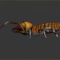 Orange and Yellow Arthropod with Long Legs Striped Body on Dark Background