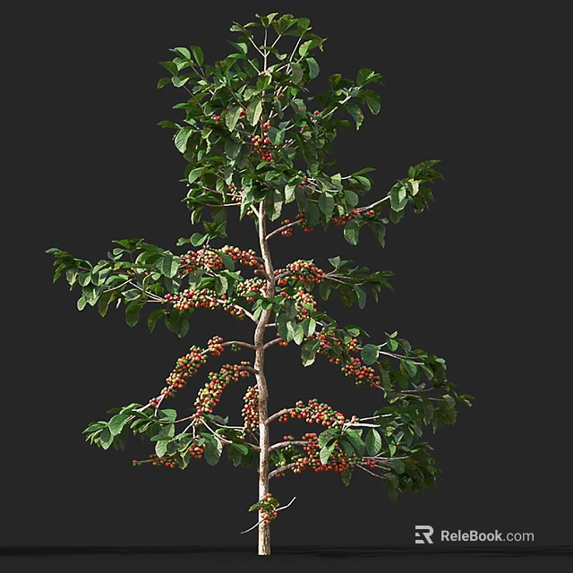 Tall Arbor Tree With Green Leaves And Red Berries In Lush Foliage 3d model 