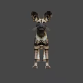 African Wild Dog With Distinctive Spotted Coat And Large Ears Standing