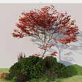 Red Leaf Tree With Green Shrubs And Lush Grass In Garden Landscape