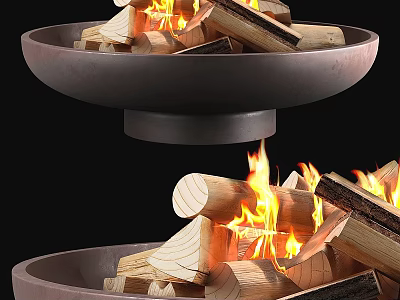 Modern Interior Bowl Shaped Fireplace With Burning Wood And Flames Design 3d model