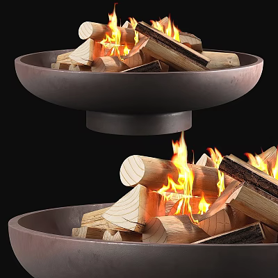 Modern Interior Bowl Shaped Fireplace With Burning Wood And Flames Design 3d model