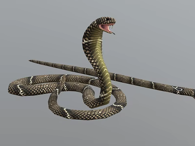 Cobra Snake With Open Mouth And Coiled Patterned Body Structure 3d model