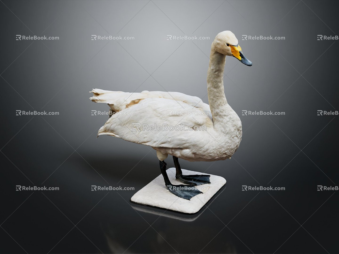 Modern Swan Birds Birds 3d model