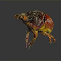 Colorful Detailed Beetle Sculpture With Vibrant Red Yellow Body And Glossy Legs