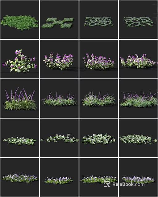 Various Garden Plants With Purple Flowers And Green Grasses For Landscaping 3d model 