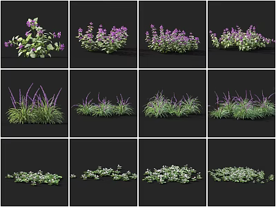 Various Garden Plants With Purple Flowers And Green Grasses For Landscaping 3d model