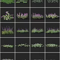 Various Garden Plants With Purple Flowers And Green Grasses For Landscaping