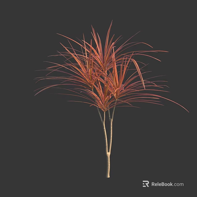 Elegant Ornamental Arbor With Red Orange Slender Foliage Against Dark Backdrop 3d model 