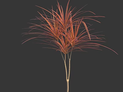 Elegant Ornamental Arbor With Red Orange Slender Foliage Against Dark Backdrop 3d model