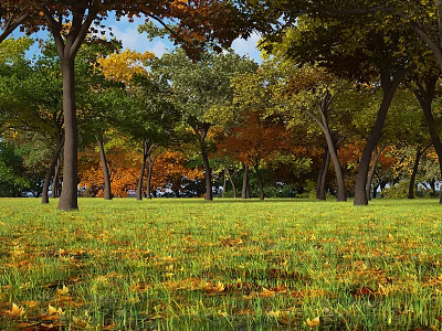 Autumn Rural Landscape With Green Yellow Orange Trees And Fallen Leaves On Grassland 3d model