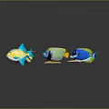 Colorful Tropical Fish in Vibrant Yellow Blue Green Hues on Gray Background with Clear Reflections