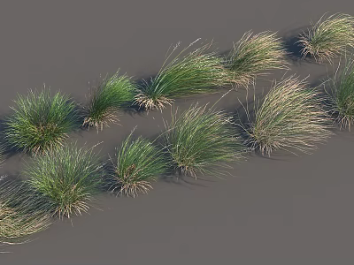 modern grass 3d model
